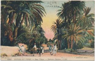 Date palms, Algerian folkore