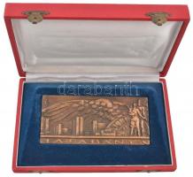 Brém Ferenc (1927-1988) ~1970. "Tatabánya" Br plakett dísztokban (67x149mm) T:1