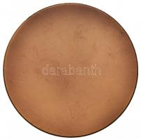 Vincze Dénes (1914-1972) DN Br plakett eredeti tokban (81mm) T:2