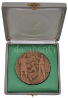 Vincze Dénes (1914-1972) DN Br plakett eredeti tokban (81mm) T:2