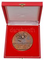 Csíkszentmihályi Róbert (1940-) 1970. "Ifjú népművész" Br plakett eredeti tokban (86mm) T:...