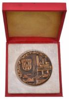 ~1970-1980. "Nagykanizsa" Br emlékérem eredeti tokban (66mm) T:1