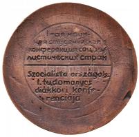 1976. "Szocialista országok I. tudományos diákköri konferenciája" kerámia plakett eredeti ...