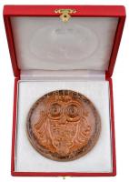 1976. "Szocialista országok I. tudományos diákköri konferenciája" kerámia plakett eredeti ...