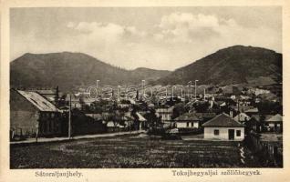 Tokaj-Hegyalja, Szőlőhegyek