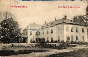 Nagyida, Báró Schell Gyula kastélya / castle