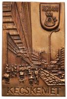 ~1970-1980. "Hungavis - Kecskemét" Br plakett (110x104mm) + "Kecskemét Város Tanácsa&...