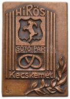 ~1970-1980. "Hungavis - Kecskemét" Br plakett (110x104mm) + "Kecskemét Város Tanácsa&...