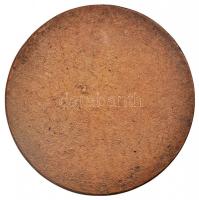 Kallós Ede (1866-1950) 1980. "10 éves a Ceglédi Éremggyűjtők Köre 1970-1980" Br emlékérem ...