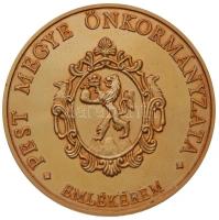 ~1980. "Pest Megye Önkormányzata" aranyozott piefort ffém emlékérem (65mm) T:2 (PP)