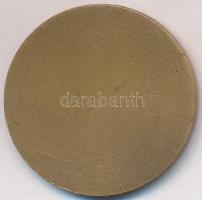 Rózsa Péter (1936-) ~1970-80. "Kossuth Lajos Katonai Főiskola - 30" Br emlékérem (32mm) T:...