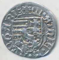 1482-1486. Denár Ag "I. Mátyás" (0,58g) T:3
Huszár 719var, Unger I.: 565.d var