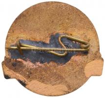 ~1980. "Az Egészségügy Kiváló Dolgozója" aranyozott, zománcozott fém jelvény nem hozzávaló...