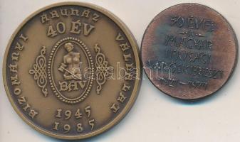 1971. "50 éves a Magyar Ifjúsági Vöröskereszt 1921-1971" Br emlékérem (30mm) + Bognár Györ...