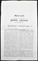 1892 Csongrád, Hegyi Antal plébános nyílt levele Schuster Constantin váci megyéspüspöknek Bajcsy Gáb...