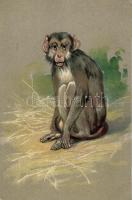 Monkey, P.F.B Serie 3106. Emb. litho (EK)