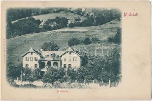 Millstatt, Marienhof / villa (EK)