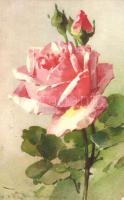 Rose, S.T.Z.F. No. 1269. litho s: C. Klein