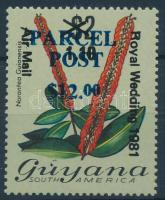 Csomagszállító bélyeg, Pracel stamp