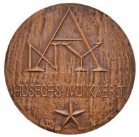 Ligeti Erika (1934-) DN "Debrecen 1561 - Huszár Gál / ANY (Alföldi Nyomda) - Hűséges Munkáért&q...