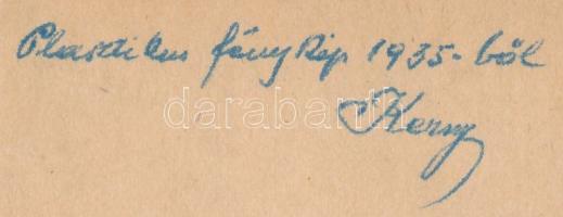 1935 Kerny István (1879-1963): Plasztikus fénykép a Balaton partjáról, a hátlap kartonon feliratozot...