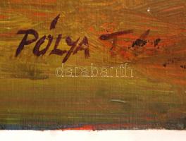 Pólya jelzéssel: Vigadalom, olaj, fa, 44×50,5 cm