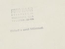 Haár Ferenc (1908-1997): Télen a Gellért hegyen, a háttérben a Horthy hídnak csak egy része látható,...