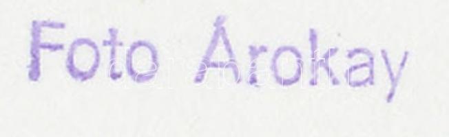 1959. március 1. Börzsöny, Királyrét, túristaház, Árokay fotó, 2 db pecséttel jelzett fotó,  20x30 c...