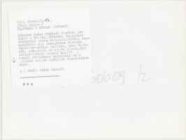 1986 Hévíz, az újra épült tófürdő, feliratozott MTI sajtófotó, 18x24 cm