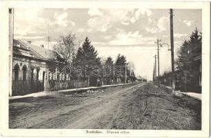 Tőketerebes, Trebisov; Fő utca, Slovensky-dom, Kaviaren / Main street, cafe (EK)