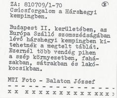 1981 Budapest, Hárshegyi kemping, nádfedeles faházak, feliratozott sajtófotó, 18x24 cm