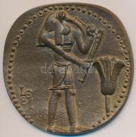 Ligeti Erika (1934-) 1981. "Nemzetközi Gyógyszerész-történeti Kongresszus" Br emlékérem (~54mm) T:2