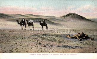 Desert, Arabian folklore, dead camel, Arab folklór, sivatag, tevék
