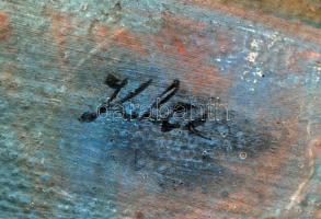 Kliz jelzéssel: Lány cicával. Olaj, karton, 68×48 cm