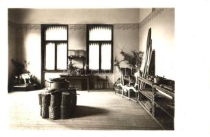 Szeged, Intézet erdészeti gyűjteményterme, Auer Lajos photo