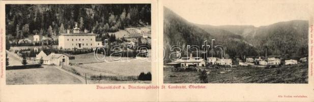 Sankt Lambrecht, Dinamitfabrik und Directionsgebäude / dinamit factory, Directorate building, folding card