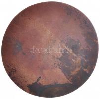 ~1900. "IOBST TETZEI AETAT LXVI ANNO 1569" réz-galván másolat (55mm) T:2