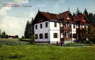 Felsőzúgófürdő, Terezia villa (EK)