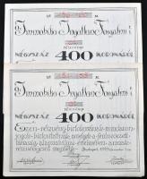 Budapest 1919. Az Immobilia Ingatlan Forgalmi Részvénytársaság 5 részvénye 400K-ról szelvényekkel, bélyegzésekkel (2x) sorszámkövetők T:II