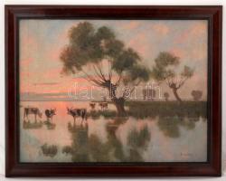 Jakab Károly (1904-1994): Ártéri tehenek alkonyatkor, olaj, vászon, fa keretben, kis sérüléssel, 58,5×77,5 cm