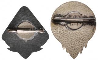 Svájc 1941. "Luzern 1941. Egyesületi nap S.B.K.V. A.S.B.P. S.S.P.P." ezüstözött fém jelvén...