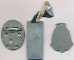 Svájc 1927. "Romont 1927. Fribourg-i Kantonális Lövészet" fém jelvény kis szalaggal. Szign...