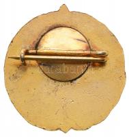 ~1980. "Törzsgárda" jelvény parlamenti dolgozó számára 25 év után, aranyozott, zománcozott...