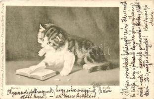 1899 Kritik / cat s: Dreher (EK)