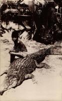 Crocodile with native boy