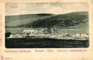 Gánóc, Mészkőbánya, kiadja Feitzinger Ede 1902/12. / limestone mine (EK)