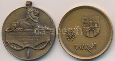 Somorjai László (1949-) DN Br emlékérem (32mm) + 1929. "Hungaria Nemzeti Neptun Evezős Egyletek Táncestélye" Br érem füllel, mellszalag nélkül (32mm) T:2