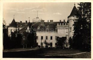 Nagykároly, Gróf Károlyi kastély, Józsa János kiadása / castle