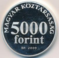 2009. 5000Ft Ag "Radnóti" T:PP ujjlenyomat, felületi karc