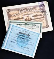 Ausztria / Bécs 1919. "Osztrák Földhitel Intézet" nyereményszelvény prémium kötelezvényhez + Svájc / Zürich 1923. "Bauxit Trust Részvénytársaság" 10 részvénye egyenként 50Fr-ról bélyegzésekkel, szelvényekkel + Franciaország / Párizs 1954. "Union des Coopérateurs" részvény 1000Fr-ról T:III Austria / Vienna 1919. "Österreichische Boden-Credit-Anstalt" prize coupon of premium debenture + Switzerland / Zurich 1923. "Bauxit Trust Joint-stock Company" 10 shares, all with the value of 50 Francs, with stamps and coupons + France / Paris 1954. "union des Coopérateurs" share about 1000 Francs T:F